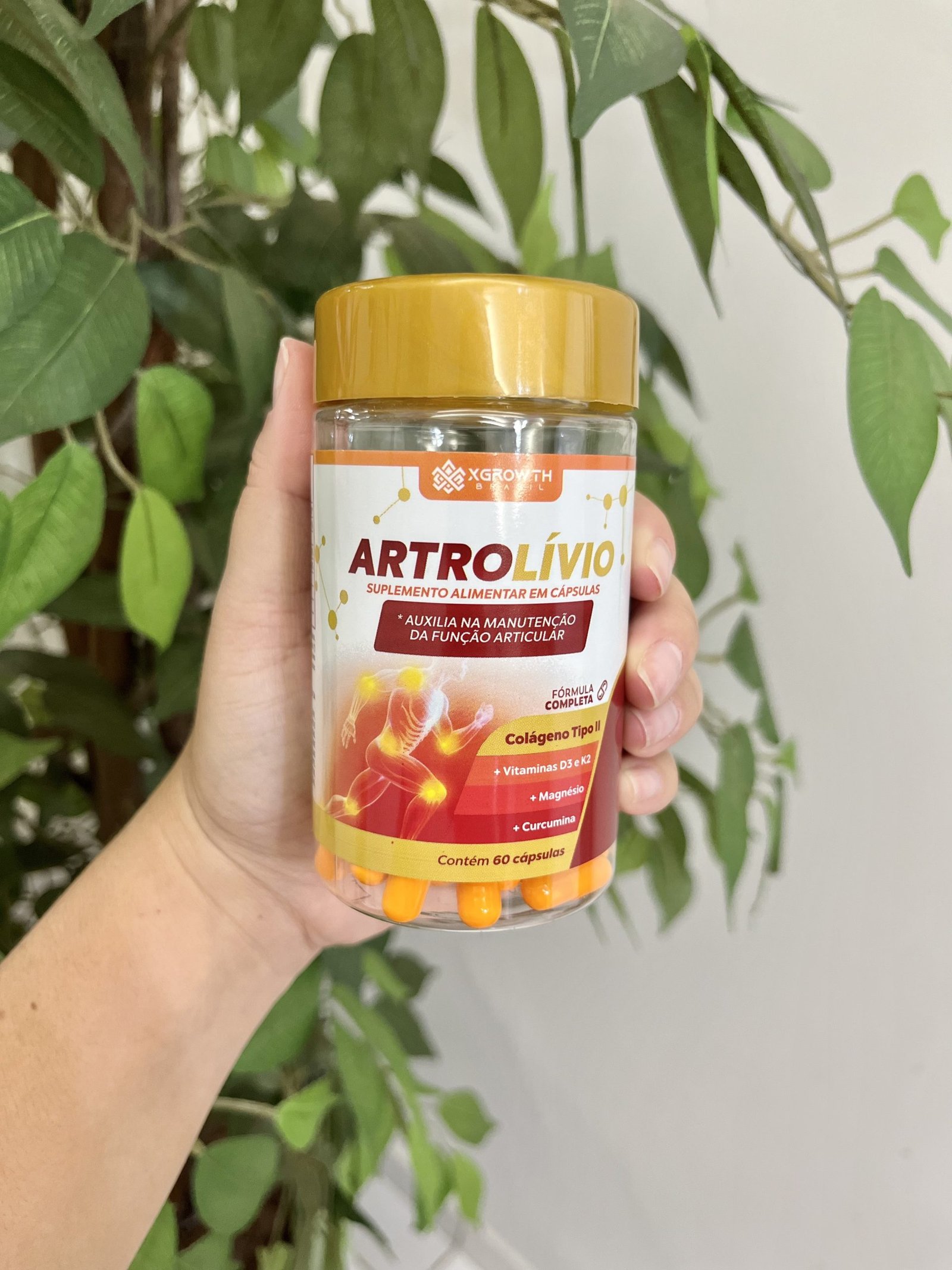 Artrolívio - Imagem 2